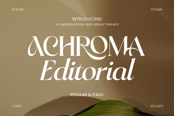 Achroma Editorial Typeface for Modern Web Design
