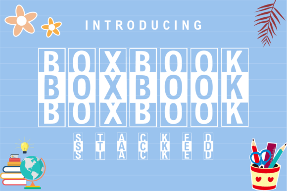 Box Book Typeface Review for Bold Branding